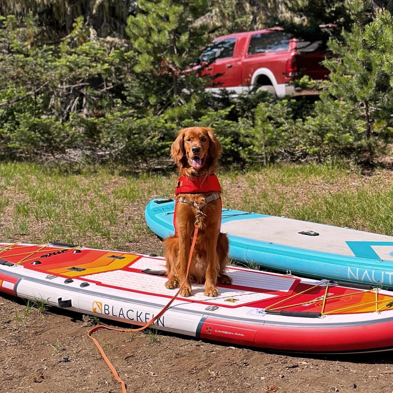 BLACKFIN MODEL X 10'6" Inflatable Paddle Board - Image 19