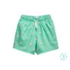 Boy's Green Flamingo Shorts